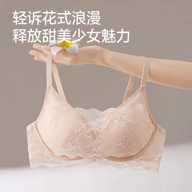 戴维诗 舒适薄款蕾丝内衣女士小胸聚拢显大无钢圈收副乳纯欲风夏季文胸 女款