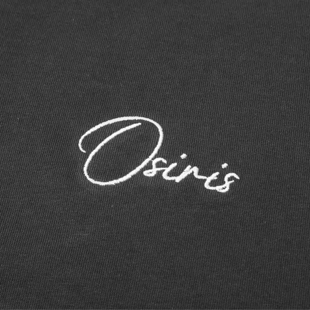 OSIRIS T