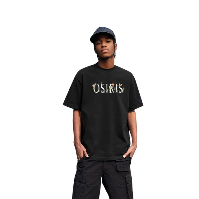 OSIRIS T