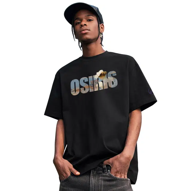 OSIRIS LogoT