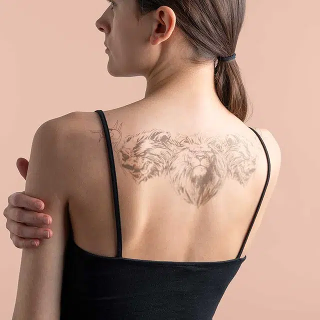 ins 280*150mm