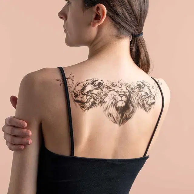 ins 280*150mm