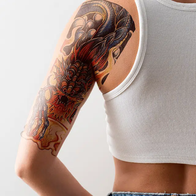 ins 170x480mm