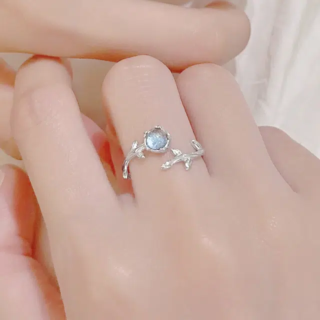 LISM ins S925