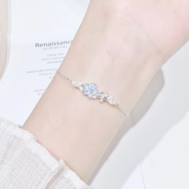 LISM ins S925