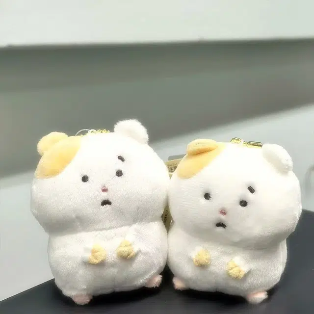 MANMIAO