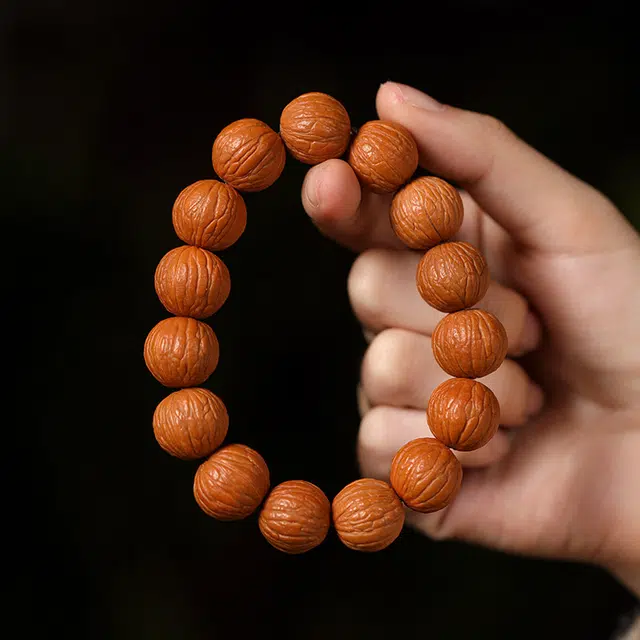 OGDAID