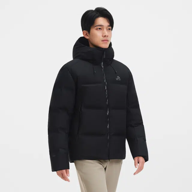 PELLIOT 80095Dermizax