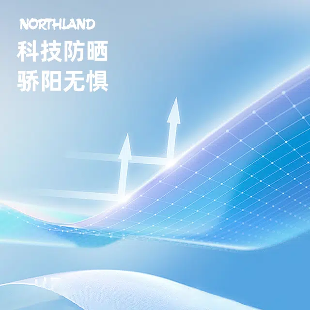 NORTHLAND PROFESSIONAL