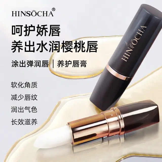 HINSOCHA 01