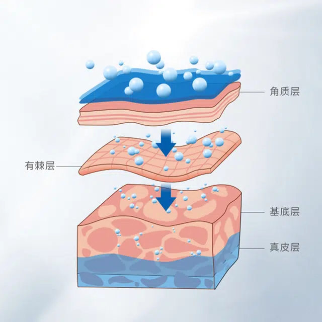 LANUOR 30g