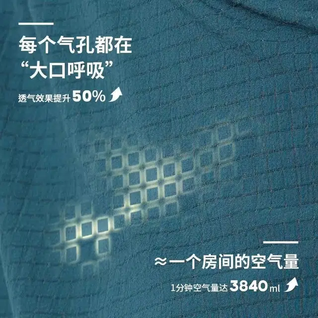 FLIPBELT 3.0Pro