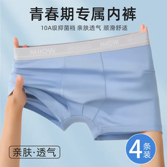 MIIOW 4
