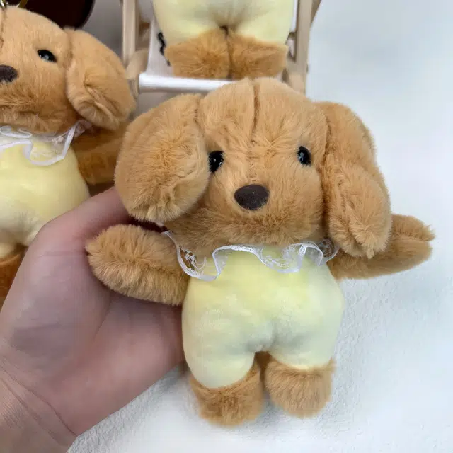 15cm