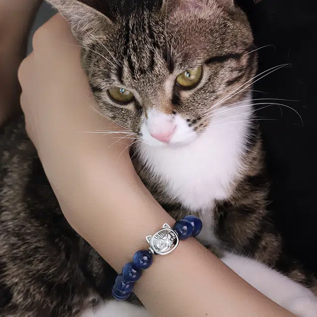 PEACE CAT