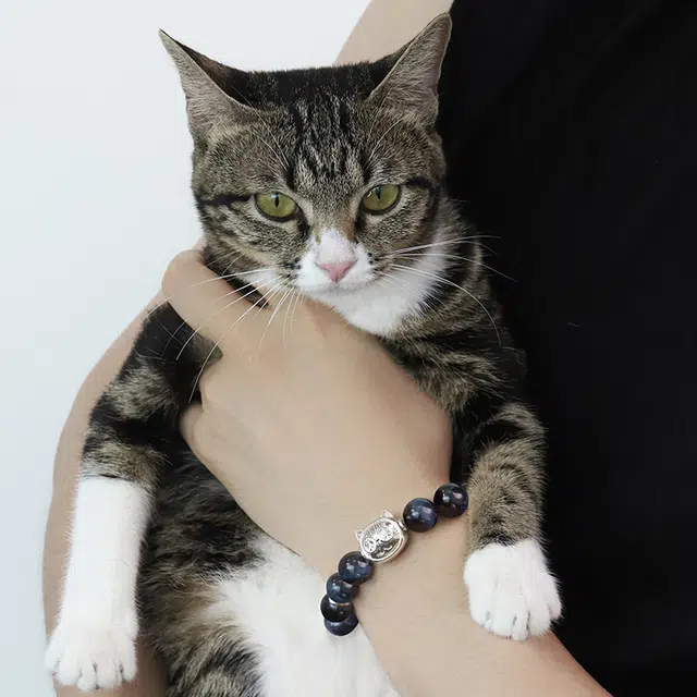 PEACE CAT