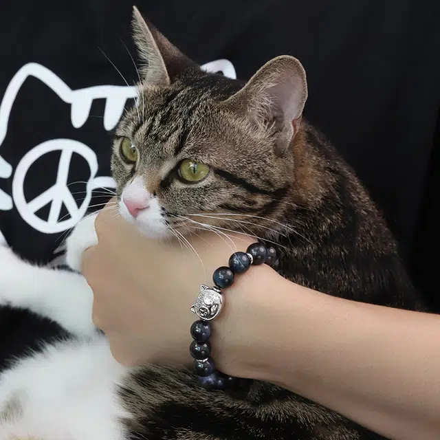 PEACE CAT