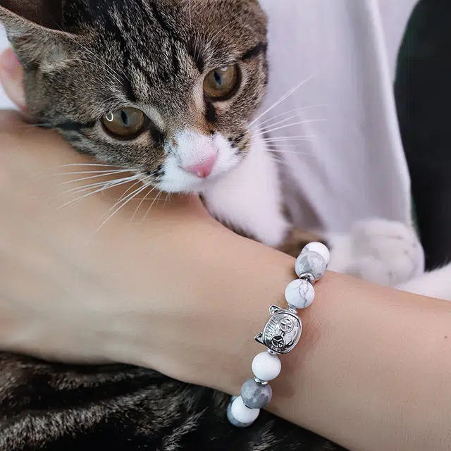 PEACE CAT
