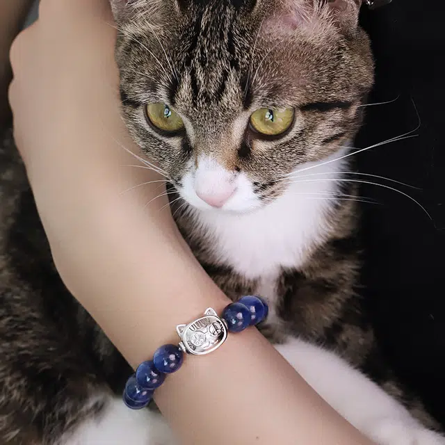 PEACE CAT