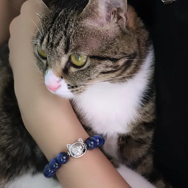 PEACE CAT