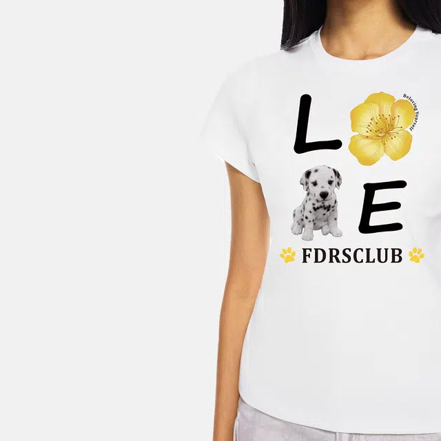 FDR T