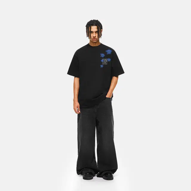 FDR T