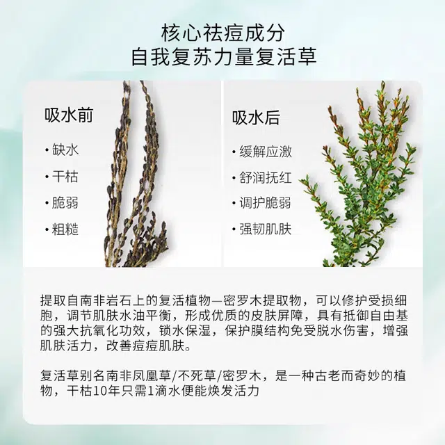 倾龄 复活草祛痘修护补水保湿舒缓面膜 滋润 多种肤质