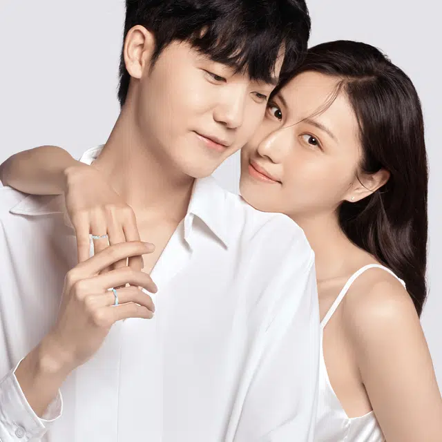 ins 925