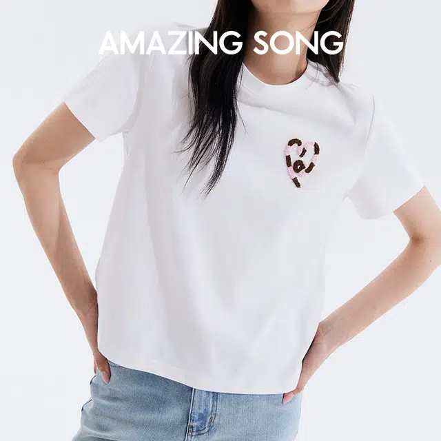 AMAZING SONG T