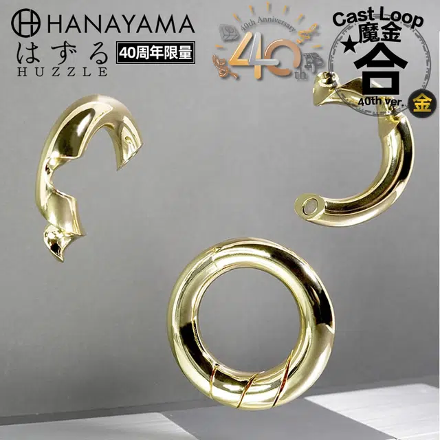 HANAYAMA 40 Puzzle