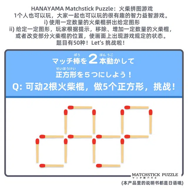 HANAYAMA Puzzle