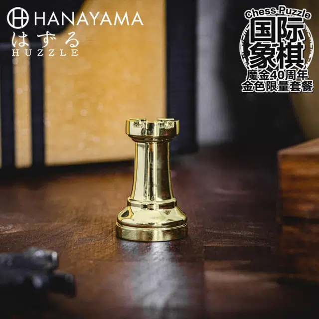 HANAYAMA Puzzle