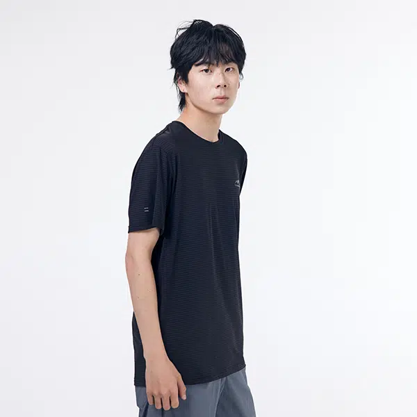 FENGXUELANG T