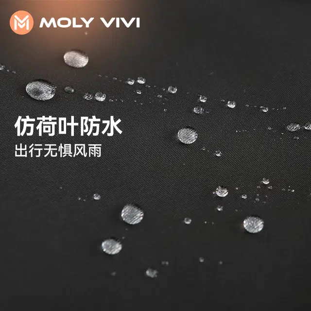 MOLY VIVI 2024