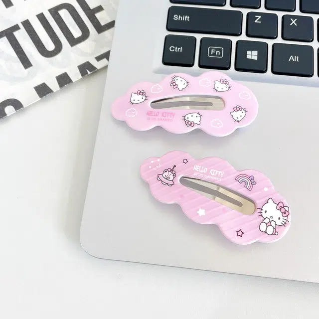 Sanrio Hello Kittyins