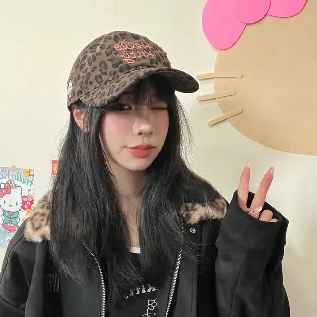 SanrioxHello Kitty Kitty