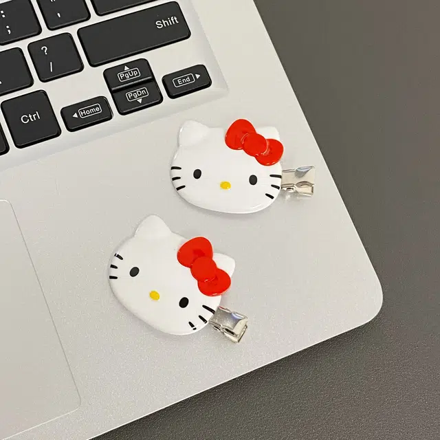 Sanrio HelloKitty
