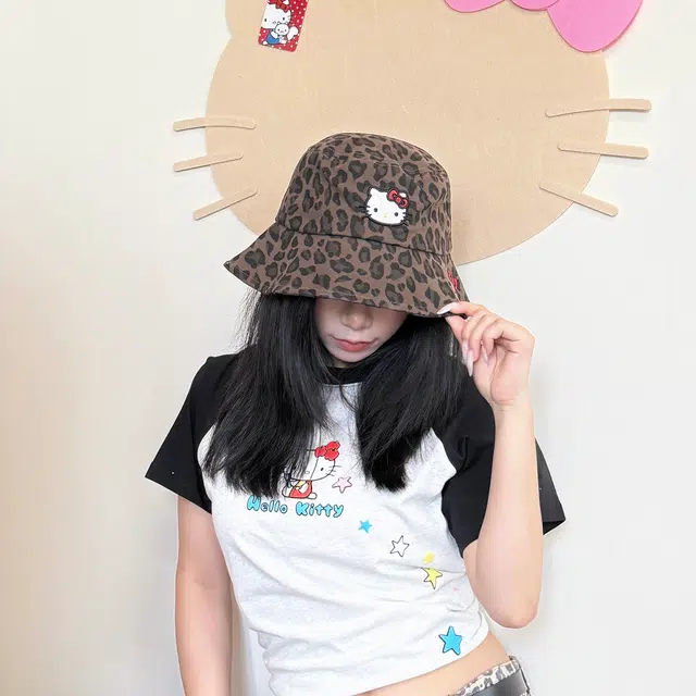 SanrioxHello Kitty