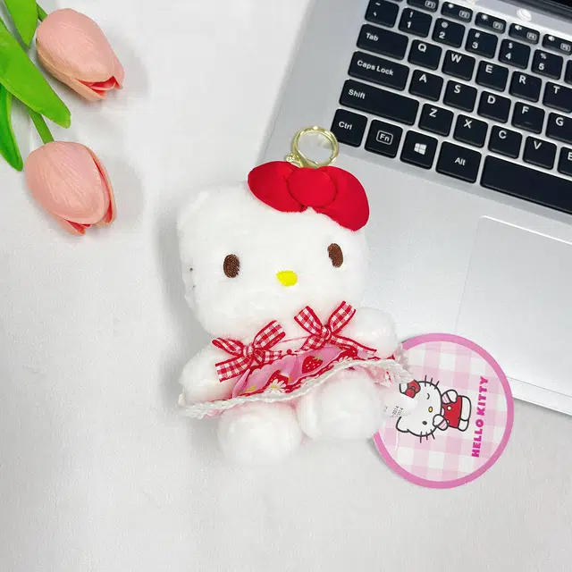 Sanrio HelloKitty