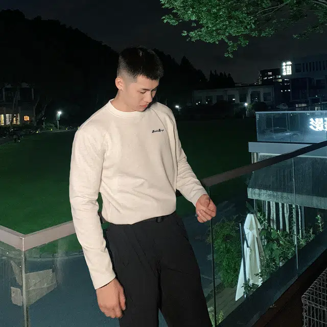 insLOGOT