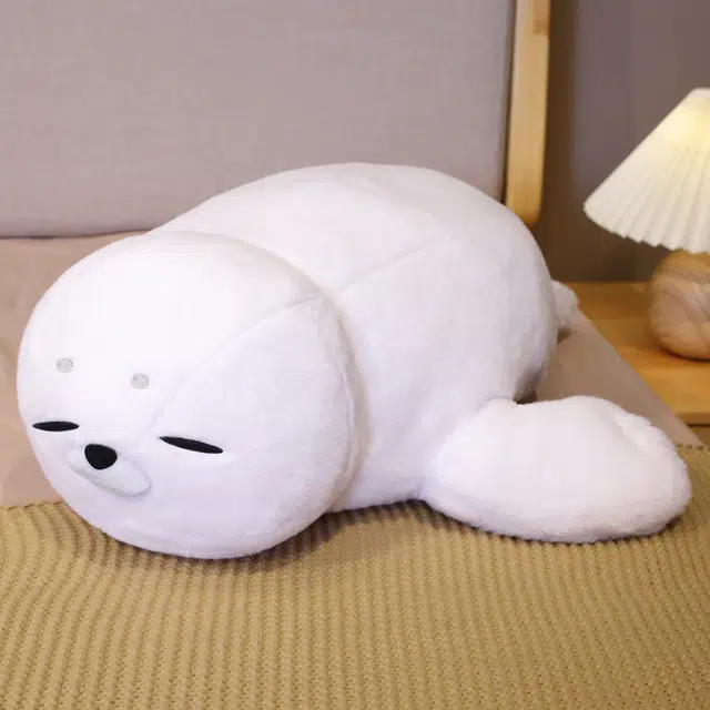 50cm60cm