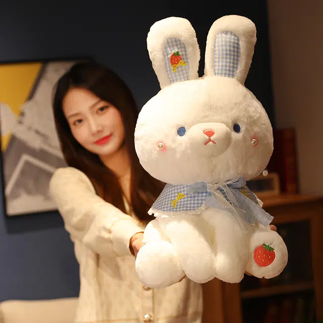 35cm50cm