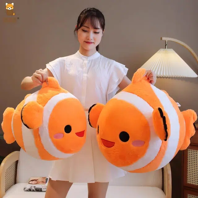 50cm60cm