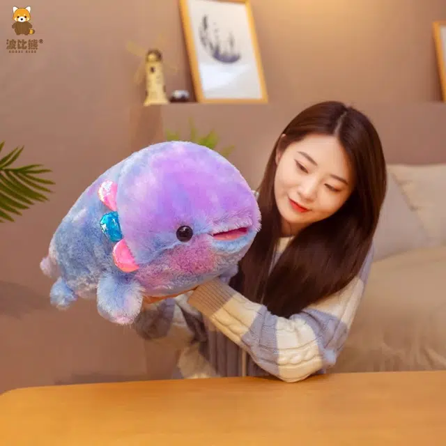 40cm55cm