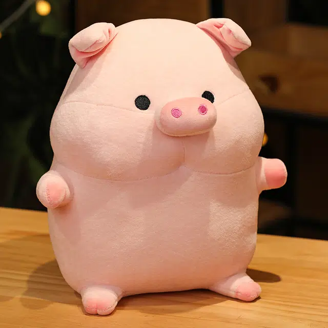 25cm35cm