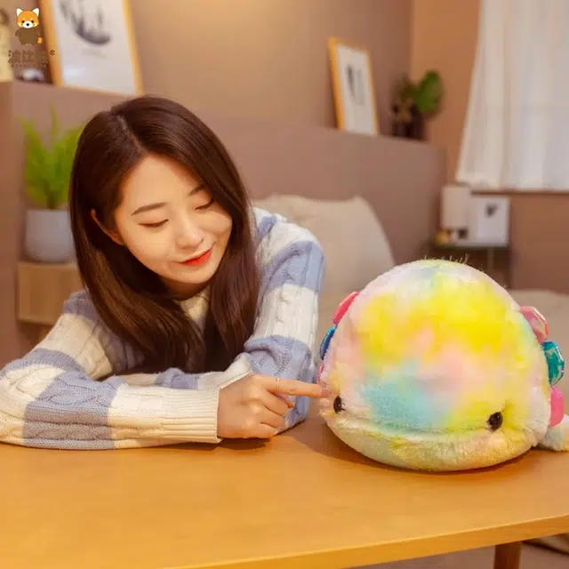 40cm55cm