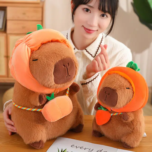 28cm40cm