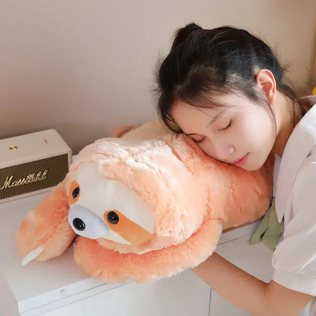 50cm60cm