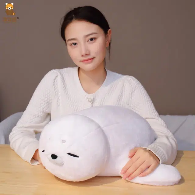 50cm60cm