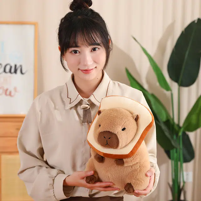 30cm40cm
